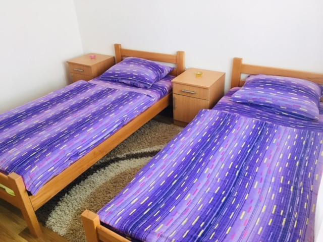 בלגרד Sangaj Apartment מראה חיצוני תמונה